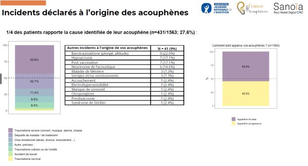 La JNA dévoile le coût faramineux des acouphènes